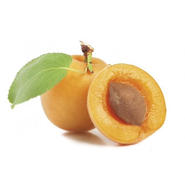 CHATEAU ROUGE SCRUBBING EXFOLIATING SOAP - removes dead cells and purifies - ShanShar Beauty : The world of beauty.