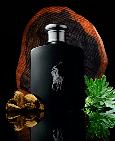 Polo Black by Ralph Lauren Fragrance for Men Eau de Toilette Spray 2.5 oz (75mL) - ShanShar Beauty : The world of beauty.