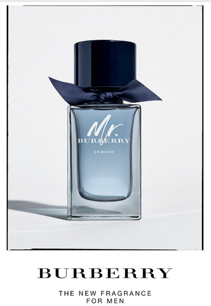 Mr burberry sales indigo 100ml price