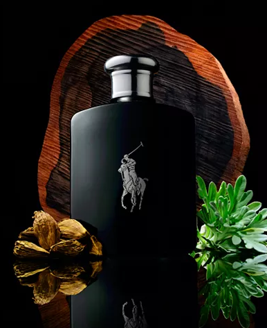 Polo Black by Ralph Lauren Fragrance for Men Eau de Toilette Spray 2.5